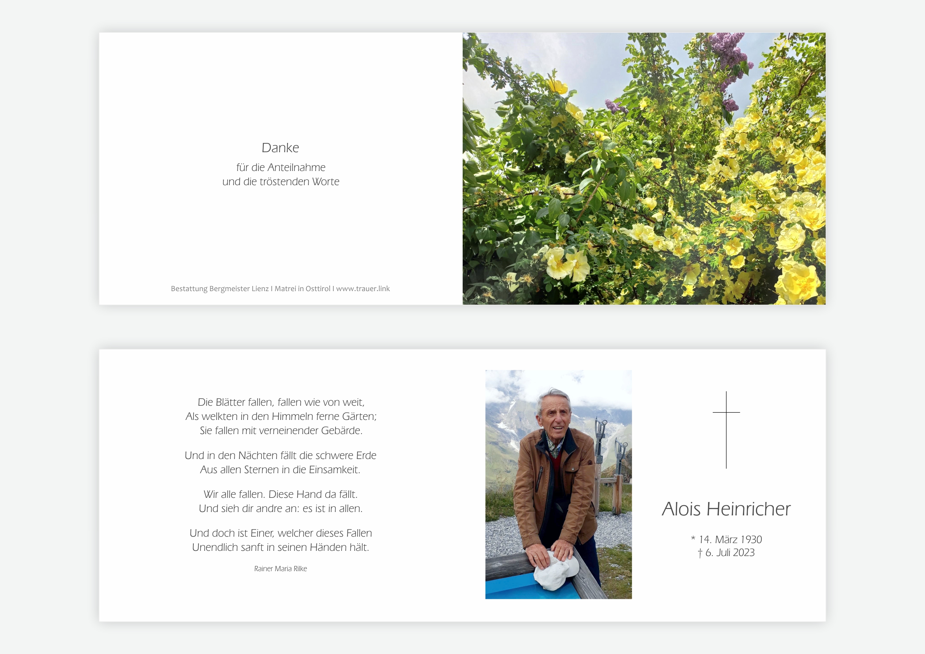 Heinricher Alois
