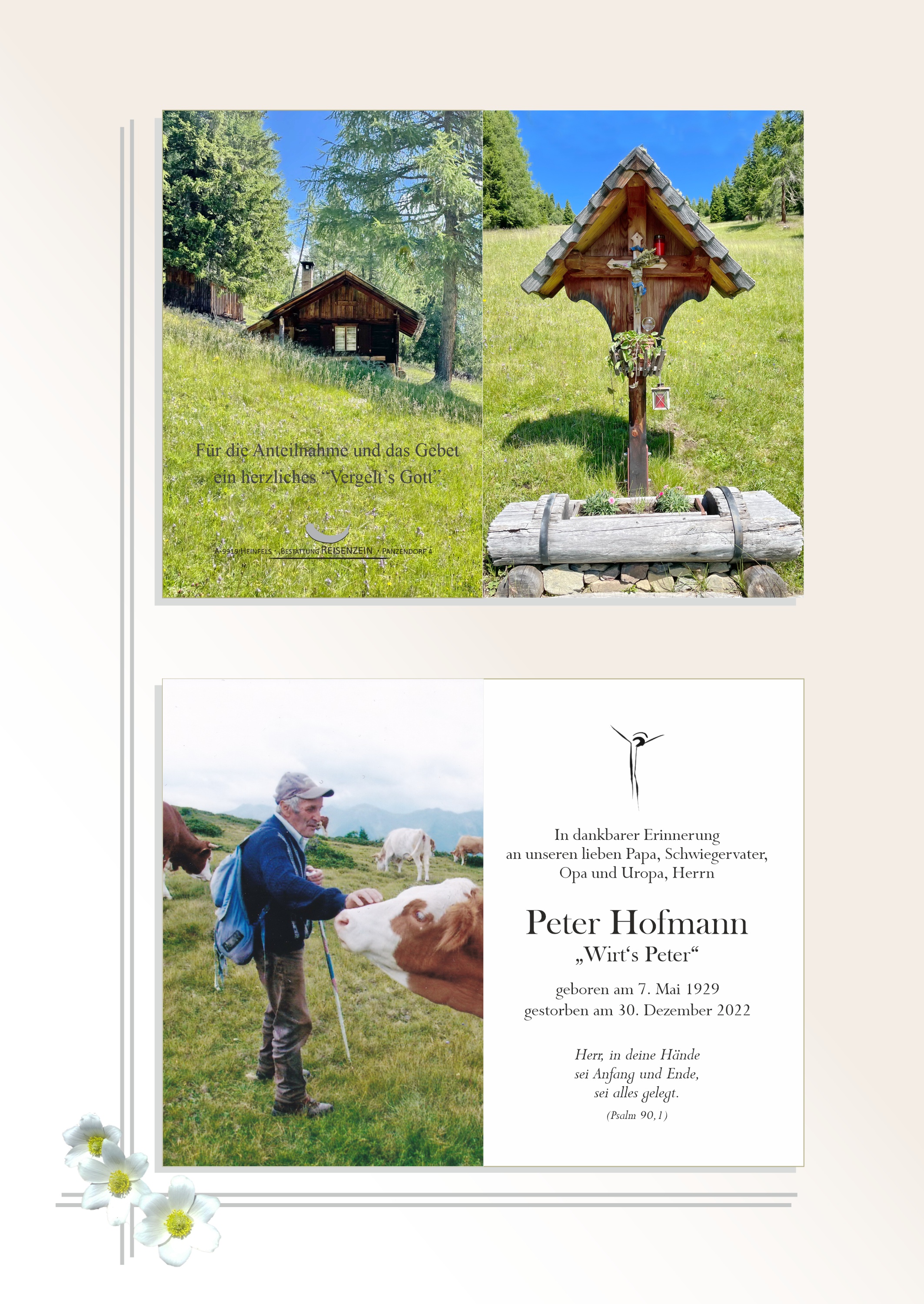 Peter Hofmann