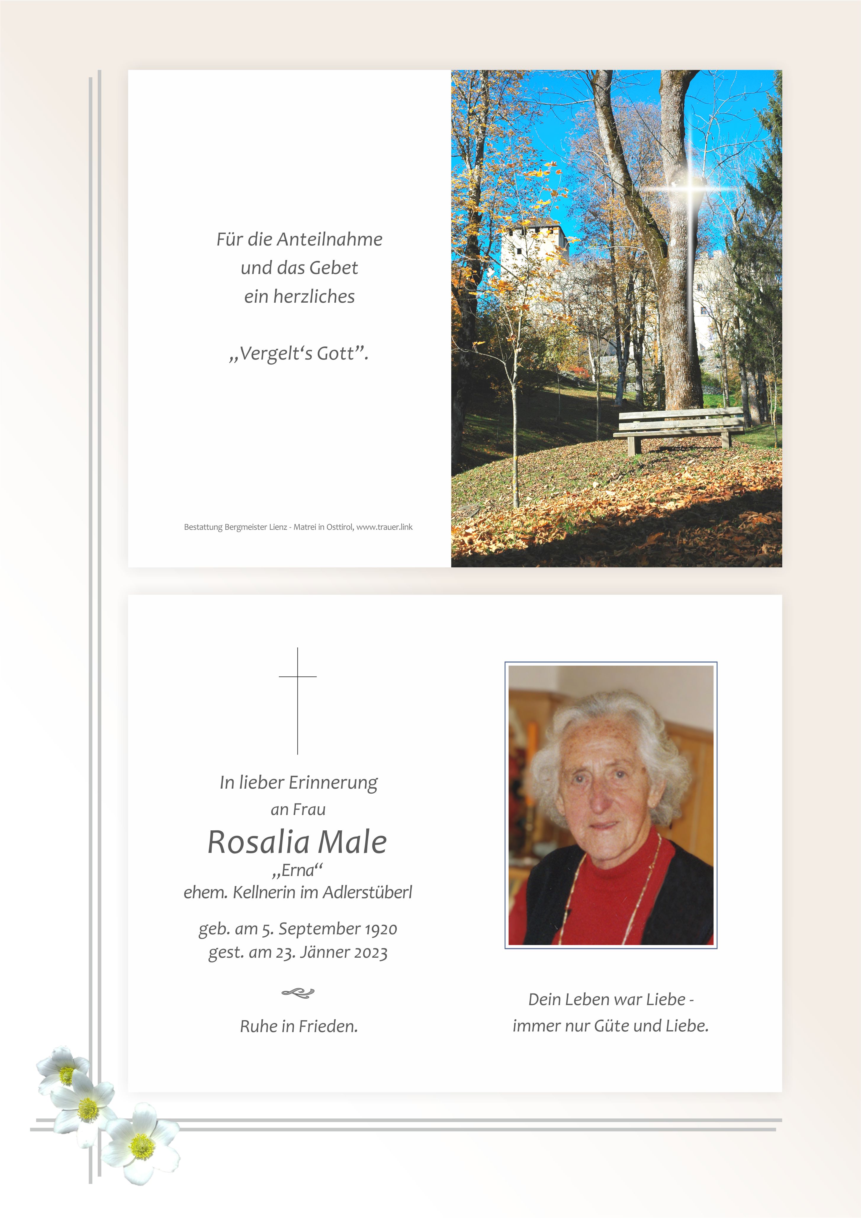 Rosalia Male