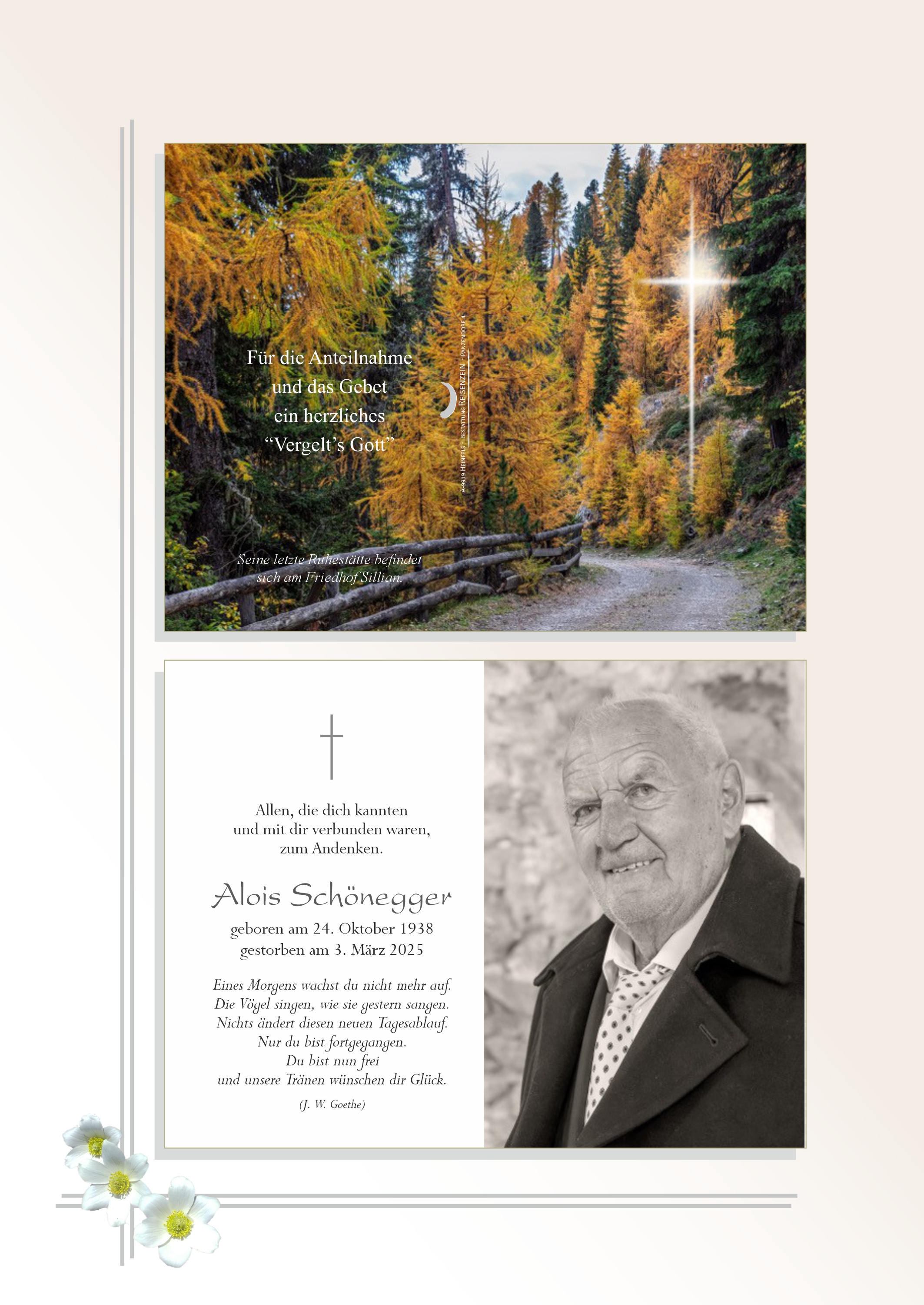 Schönegger Alois